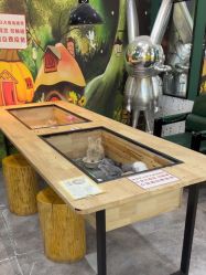点击看大图 -神奇动物撸宠馆·羊驼·小浣熊·异宠(豫园店)