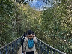 -龙湾潭国家森林公园