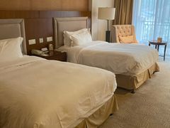 -宜春明月山维景国际温泉度假酒店
