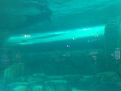 -波塞冬旅游度假区