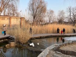 -Oasis Beauty水磨坊科技美肤中心