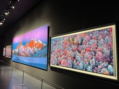 -罗红摄影艺术馆