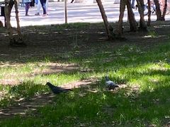 -哈尔滨文化公园