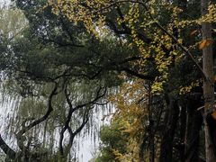 -南浔古镇