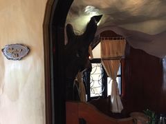 -疯狂屋