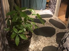 -老成都·古法采耳·禅洗头疗(四川总店)