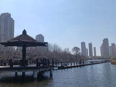-前关湿地公园