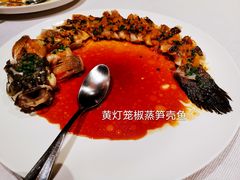 -三利音·浦之舟(滨江大道店)