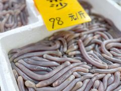 沙虫-寻味顺德·南记酒家·传统顺德菜·鱼生(广源路店)