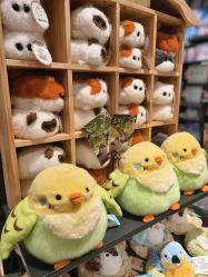 -酷乐潮玩(七宝领展广场店)