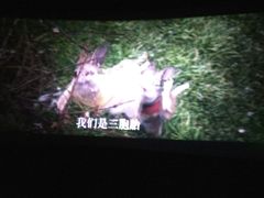 -武汉华夏国际影城(鲁广店)