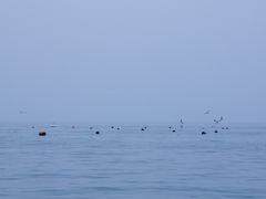 -长岛南北长山旅游景区