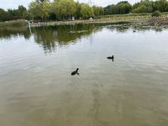 -太阳宫公园