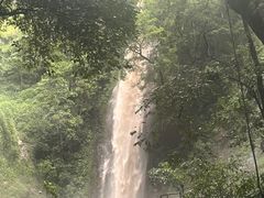 -莫里热带雨林景区