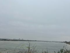 -北海金海湾红树林生态旅游区