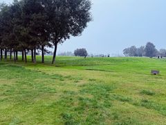 -汉长安城未央宫国家考古遗址公园