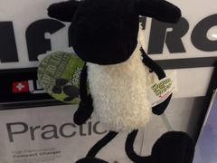 iphone_upload_pic-瑞丽口岸免税店