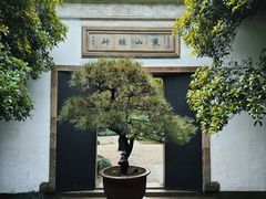 -留园