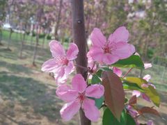 android_upload_pic-辽宁大学(崇山校区)