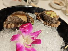 -海月轩海鲜豆捞(紫金塔店)