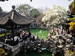 -何园