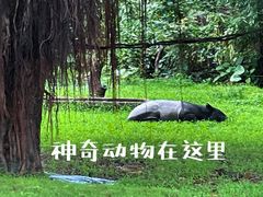 -广州长隆野生动物世界