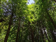 -捞渔河湿地公园