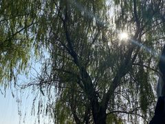 -钟山体育运动公园