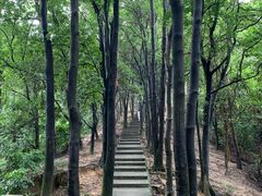 -火炉山森林公园