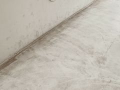 -舞蕾舞蹈(特长生校区)