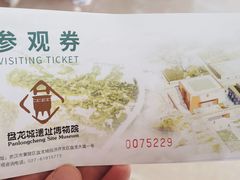 -盘龙城国家考古遗址公园