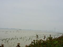 -海鸥岛