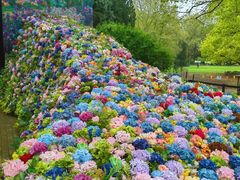 -上海共青森林公园