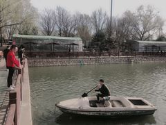 -尚庄度假村·庭台树下·户外烧烤·团建CS·轰趴营地(上庄水库店)