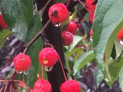 -金石唐风国际温泉会馆