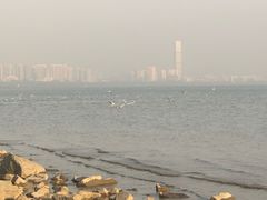 -深圳湾公园(南山区)