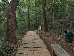 -九曜山
