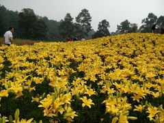 android_upload_pic-保利石象湖景区