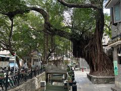 -小洲村