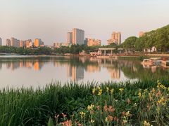 -葛仙湖公园