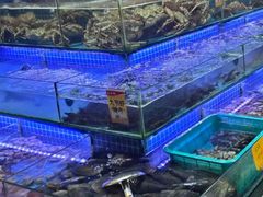 -大东海海鲜酒楼(渔人码头总店)