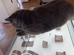 -Me Coffee下午茶艺术空间