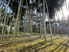 -南山风景名胜区