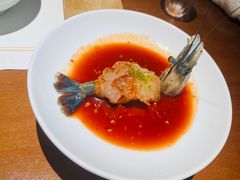-觀芷隐轩