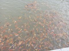 android_upload_pic-肯德基(谷山路店)