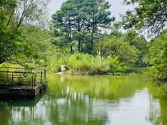 -宝岩生态观光园