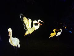 -茅山东方盐湖城景区