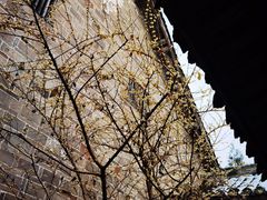 -金堂县云顶石城风景区