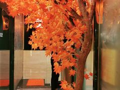 -大江户日本料理(吕厝店)