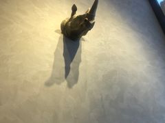 -ZOO COFFEE动物园咖啡(望京锐创店)